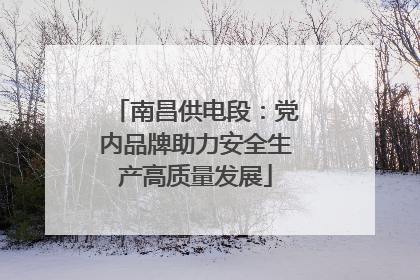 南昌供电段：党内品牌助力安全生产高质量发展