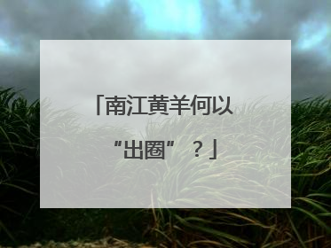 南江黄羊何以“出圈”？