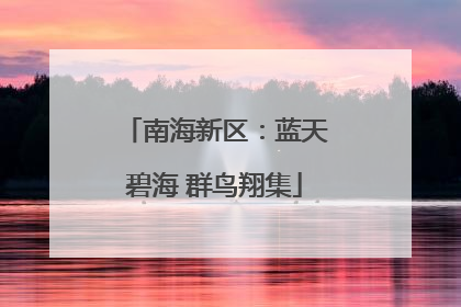 南海新区：蓝天碧海 群鸟翔集