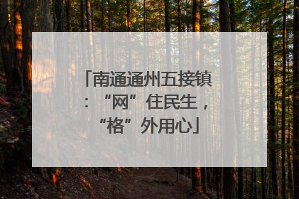 南通通州五接镇：“网”住民生，“格”外用心
