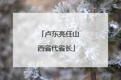 卢东亮任山西省代省长