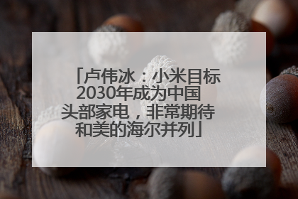卢伟冰：小米目标2030年成为中国头部家电，非常期待和美的海尔并列