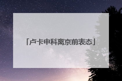 卢卡申科离京前表态