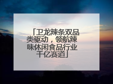 卫龙辣条双品类驱动，领航辣味休闲食品行业千亿赛道