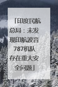 印度民航总局：未发现印航波音787机队存在重大安全问题