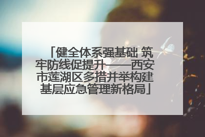健全体系强基础 筑牢防线促提升——西安市莲湖区多措并举构建基层应急管理新格局
