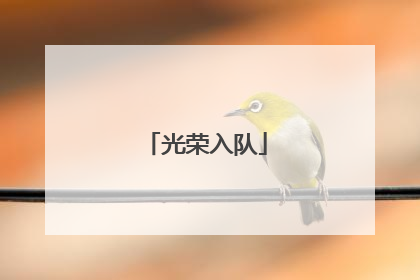 光荣入队