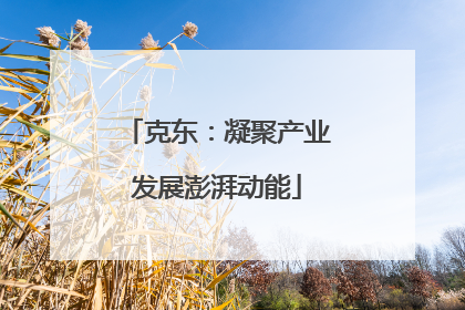 克东：凝聚产业发展澎湃动能