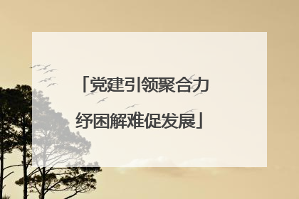 党建引领聚合力 纾困解难促发展