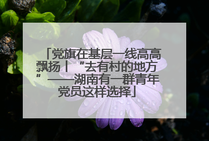 党旗在基层一线高高飘扬丨“去有村的地方”——湖南有一群青年党员这样选择