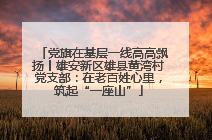 党旗在基层一线高高飘扬丨雄安新区雄县黄湾村党支部：在老百姓心里，筑起“一座山”