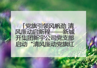 党旗引领风帆劲 清风廉动启新程——新城开集团新宇公司党支部启动“清风廉动党旗红”系列活动