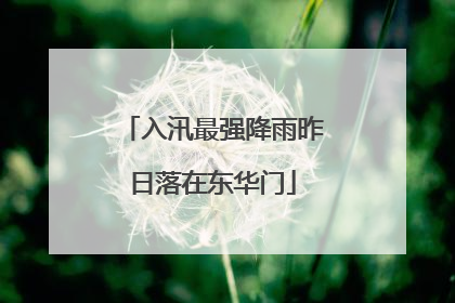入汛最强降雨昨日落在东华门
