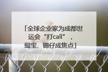 全球企业家为成都世运会“打call”，蜀宝、锦仔成焦点
