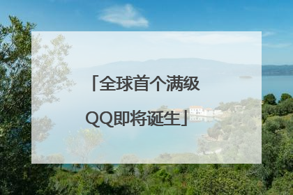 全球首个满级QQ即将诞生
