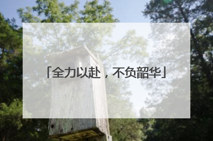 全力以赴，不负韶华
