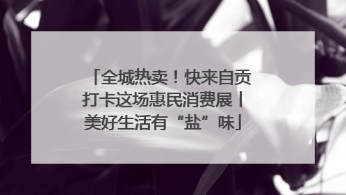 全城热卖！快来自贡打卡这场惠民消费展丨美好生活有“盐”味