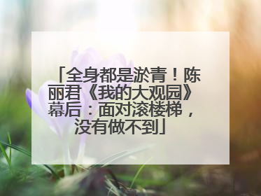 全身都是淤青！陈丽君《我的大观园》幕后：面对滚楼梯，没有做不到