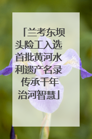 兰考东坝头险工入选首批黄河水利遗产名录 传承千年治河智慧