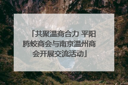 共聚温商合力 平阳腾蛟商会与南京温州商会开展交流活动