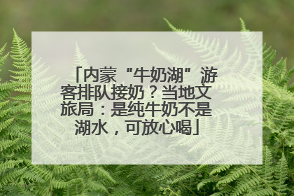 内蒙“牛奶湖”游客排队接奶？当地文旅局：是纯牛奶不是湖水，可放心喝