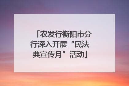 农发行衡阳市分行深入开展“民法典宣传月”活动