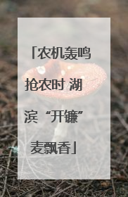 农机轰鸣抢农时 湖滨“开镰”麦飘香
