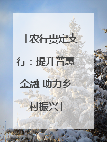 农行贵定支行：提升普惠金融 助力乡村振兴