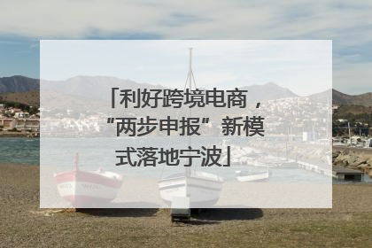 利好跨境电商，“两步申报”新模式落地宁波