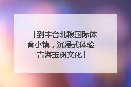 到丰台北粮国际体育小镇，沉浸式体验青海玉树文化