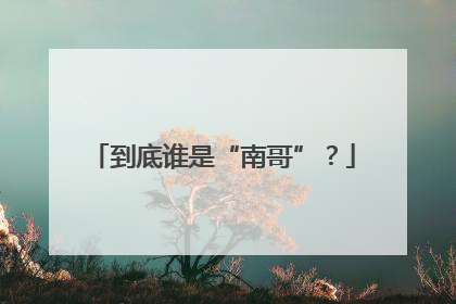 到底谁是“南哥”？