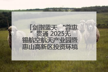 剑指蓝天 “蓉惠”贯通 2025无锡航空航天产业园暨惠山高新区投资环境推介会在成都举行