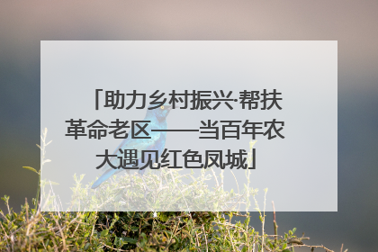 助力乡村振兴·帮扶革命老区——当百年农大遇见红色凤城