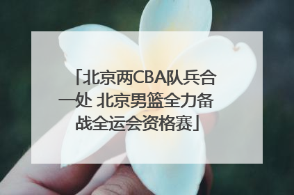北京两CBA队兵合一处 北京男篮全力备战全运会资格赛