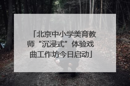 北京中小学美育教师“沉浸式”体验戏曲工作坊今日启动