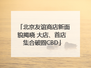 北京友谊商店新面貌揭晓 大店、首店集合破圈CBD