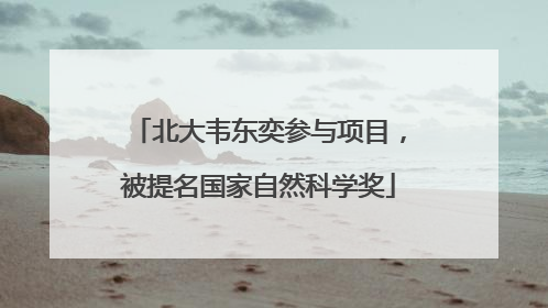 北大韦东奕参与项目，被提名国家自然科学奖