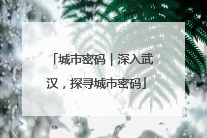 城市密码｜深入武汉，探寻城市密码