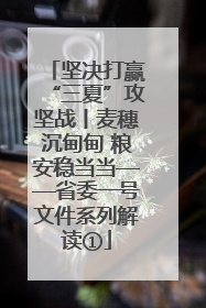 坚决打赢“三夏”攻坚战丨麦穗沉甸甸 粮安稳当当——省委一号文件系列解读①