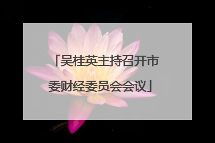 吴桂英主持召开市委财经委员会会议