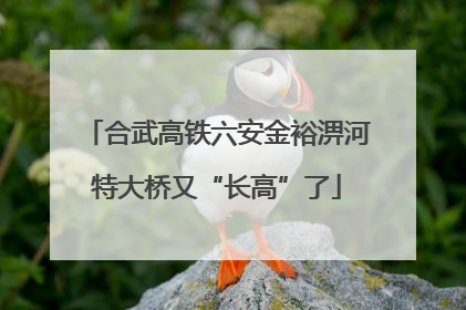 合武高铁六安金裕淠河特大桥又“长高”了