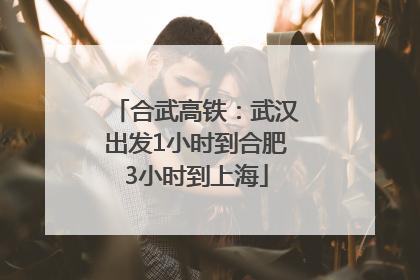 合武高铁：武汉出发1小时到合肥3小时到上海