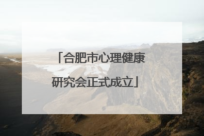 合肥市心理健康研究会正式成立