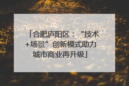 合肥庐阳区：“技术+场景”创新模式助力城市商业再升级