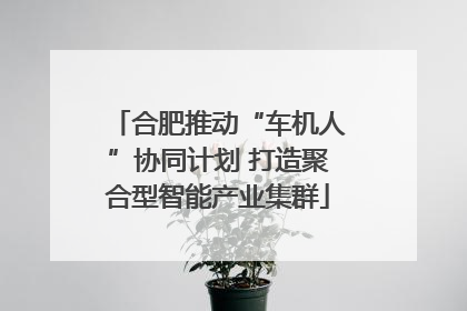 合肥推动“车机人”协同计划 打造聚合型智能产业集群