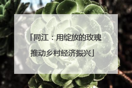 同江：用绽放的玫瑰 推动乡村经济振兴