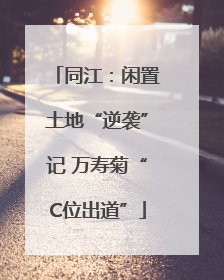 同江：闲置土地“逆袭”记 万寿菊“C位出道”
