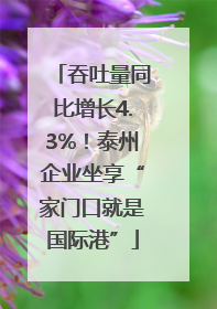 吞吐量同比增长4.3%！泰州企业坐享“家门口就是国际港”