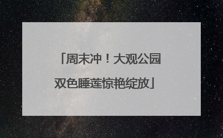 周末冲！大观公园双色睡莲惊艳绽放