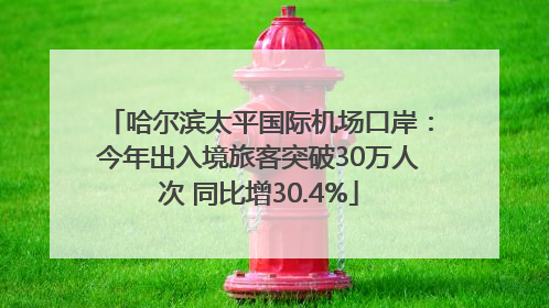 哈尔滨太平国际机场口岸：今年出入境旅客突破30万人次 同比增30.4%